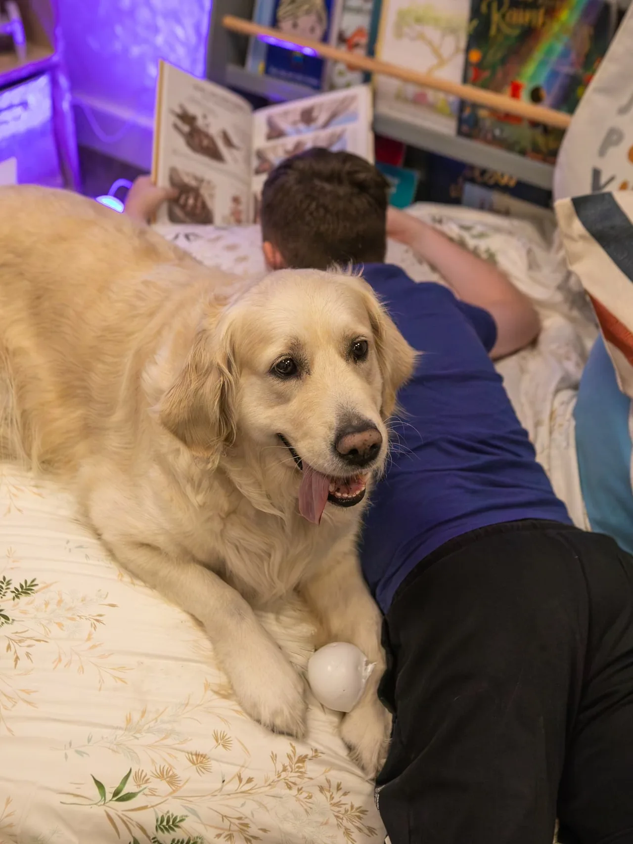 Queenie lying beside a boy while he reads