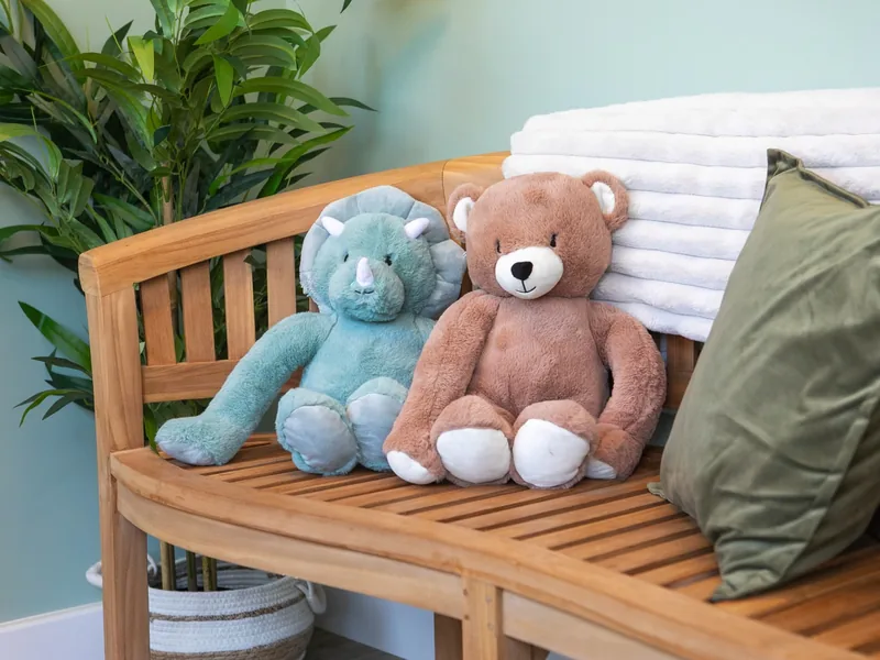 Two soft toy friends, a dinosaur and a teddy bear, sitting on a wooden bench in the Connect clinic