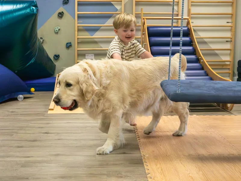 A laughing young boy playing with Queenie the golden retriever in the Connect soft play room